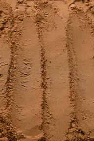 Cocoa powder
