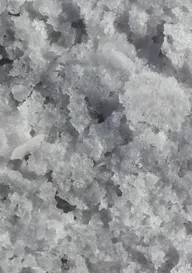 Salt